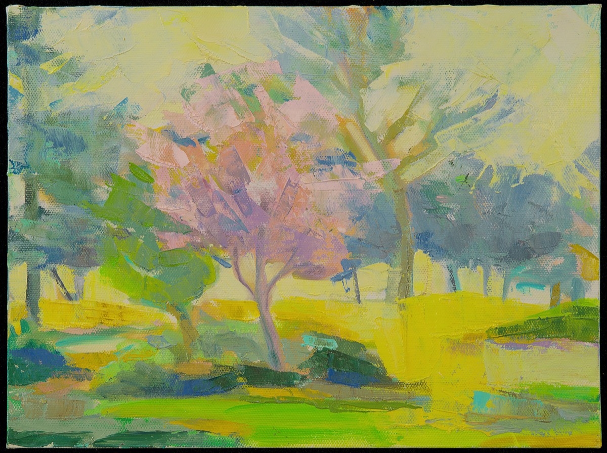 Lively! Vibrant! Colorful! Sensual! Joyful! Landscape Paintings